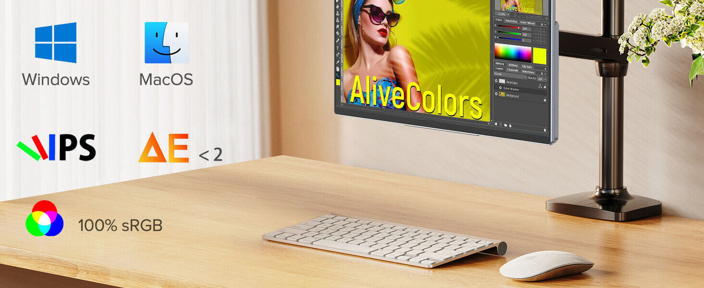 15.6" 1920 X 1080 LCD Computer Monitor, Gray